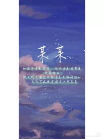 蓝导航500拧柠檬导航